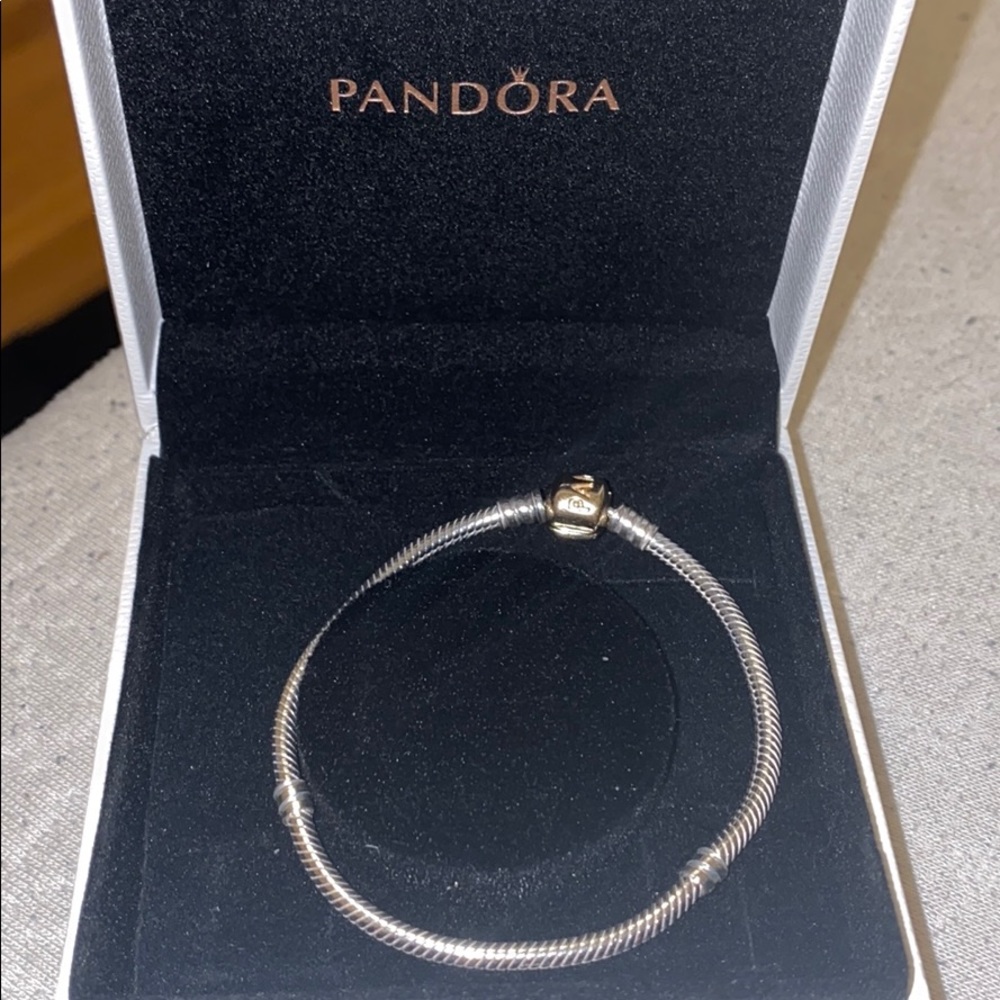 Pandora - 14k gold Two Tone Snake Chain Bracelet